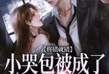 《将错就错:小哭包被成了大佬心尖宠》慕汀洲姜桃完整版小说免费阅读-艾米文学