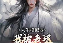 已完结小说《人生模拟器：我被老婆逼成世间极境》章节免费阅读-艾米文学