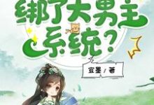 夏羽悠小说在线章节免费阅读（我，修仙虐文女主，绑了大男主系统？无弹窗无删减）-艾米文学