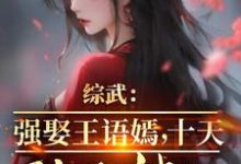 综武:强娶王语嫣,十天陆地神仙赵栋小说大结局免费试读-艾米文学