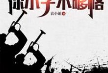 袁斌小说《抗战:跟咱比资历?你小子不够格》完整版免费阅读-艾米文学