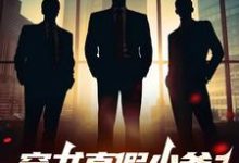 穿书真假少爷？不，我是他们的爹叶战叶傲天小说在线章节目录阅读最新章节-艾米文学