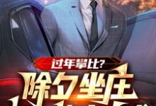 过年攀比？除夕坐庄初一连夜离乡小说的最新章节在哪里更新？免费追踪阅读-艾米文学