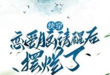 快穿恋爱脑清醒后摆烂了完整版小说,快穿恋爱脑清醒后摆烂了最新章节-艾米文学