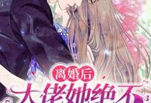 完结版《离婚后,大佬她绝不破镜重圆》免费阅读-艾米文学