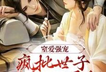 免费在线阅读窒爱强宠：疯批世子囚我入罗账小说的正规网站有哪些？-艾米文学
