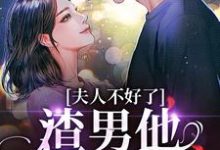 夫人不好了！渣男他要求爱黎岁霍砚舟，夫人不好了！渣男他要求爱小说免费阅读-艾米文学