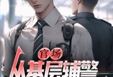 官场:从基层辅警开始崛起完整版最新章节,官场:从基层辅警开始崛起章节在线阅读-艾米文学