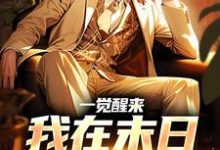 在线免费阅读一觉醒来，我在末日成首富了完整小说-艾米文学