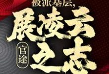 小说完整版《官途：被派基层，展凌云之志》免费阅读-艾米文学
