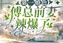 《第一婚色:傅总前妻辣爆了》完整版小说免费阅读-艾米文学