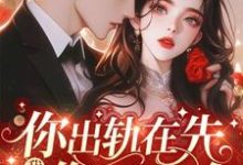 你出轨在先，我离婚你哭什么小说有没有完结版在线？-艾米文学