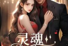 灵魂挚友宋熹洪京粤小说在线章节免费阅读-艾米文学