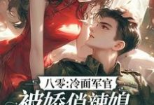 八零：冷面军官被娇俏辣媳狠狠拿捏这本小说在哪里可以看？哪里有免费试读章节？-艾米文学
