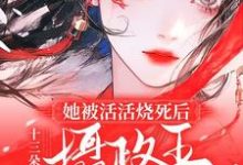 她被活活烧死后,摄政王悔不当初完整版小说,她被活活烧死后,摄政王悔不当初免费阅读-艾米文学