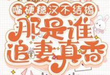 嘴硬糙汉不结婚,那是谁真香追妻小说无弹窗阅读的网站推荐-艾米文学