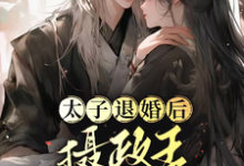 小说《太子退婚后，摄政王他坐不住了》章节免费阅读-艾米文学