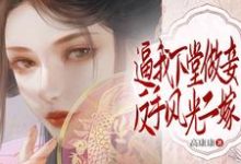 逼我下堂做妾?反手风光二嫁!小说的最新章节在哪里更新?免费追踪阅读-艾米文学
