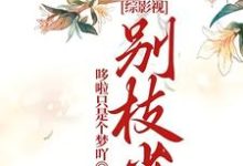 《综影视：别枝雀》小说免费阅读完整版-艾米文学