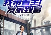 程时小说《重回九零下岗潮，我带着全厂发家致富》在线阅读-艾米文学