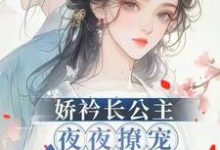 已完结小说《娇矜长公主夜夜撩宠冷心暗卫》在线章节阅读-艾米文学