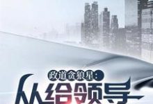 完结版《政道贪狼星:从给领导平反开始》在线免费阅读-艾米文学