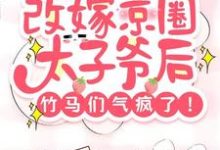 沈青柠司墨霆完整版《改嫁京圈太子爷后,竹马们气疯了》小说免费阅读-艾米文学