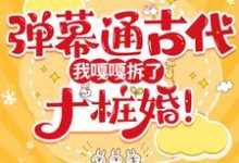 免费在线阅读弹幕通古代，我嘎嘎拆了十桩婚！小说的正规网站有哪些？-艾米文学