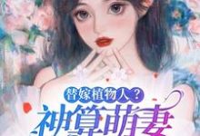 已完结小说《替嫁植物人?神算萌妻是大佬!》最新章节-艾米文学