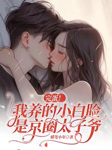 免费在线阅读完蛋！我养的小白脸是京圈太子爷小说的正规网站有哪些？