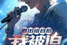 在线免费阅读退出组合后，我被迫成为顶流！完整小说-艾米文学