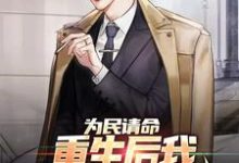 为民请命，重生后我走上官场巅峰小说的免费电子版在哪里可以下载或阅读？-艾米文学