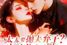 《太太要抛夫弃子?宋总他急疯了》许觅小说免费阅读完整版-艾米文学