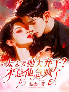 《太太要抛夫弃子？宋总他急疯了》许觅小说免费阅读完整版