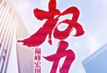 小说《巅峰宏图之权力》在线章节阅读-艾米文学
