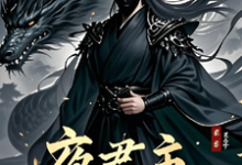 夜君主江南小说大结局免费试读-艾米文学