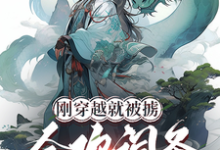 小说《刚穿越就被掳,合欢词条什么鬼?》完整版章节免费阅读-艾米文学