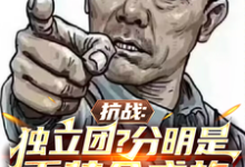 已完结小说《抗战:独立团?分明是重装合成旅》章节免费阅读-艾米文学