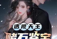 透视天王:赌石鉴宝财色无双李秋阳艾晴柔,透视天王:赌石鉴宝财色无双在线无弹窗阅读-艾米文学