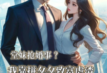 已完结小说《堂妹抢婚事?我靠拼夕夕致富虐渣》在线章节阅读-艾米文学