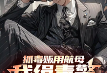 《抓毒贩用航母?我缉毒警无限摇人》小说大结局免费试读 秦峰小说-艾米文学