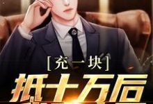 充一块抵十万后，我赢麻了完整版小说，充一块抵十万后，我赢麻了最新章节-艾米文学