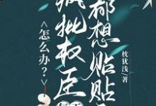 求怎么办？疯批权臣每天都想贴贴我小说的全文免费阅读链接-艾米文学