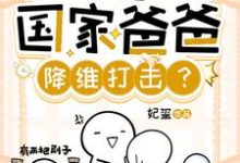 柳芸小说完结版在线阅读,潜规则,你让国家爸爸降维打击?免费看-艾米文学
