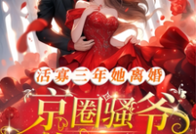 活寡三年她离婚,京圈骚爷悔红眼小说无弹窗阅读的网站推荐-艾米文学