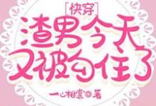 快穿:渣男今天又被勾住了完整版小说,快穿:渣男今天又被勾住了顾明哲-艾米文学