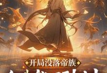 完整版《开局没落帝族，但我能回到过去》小说免费阅读-艾米文学