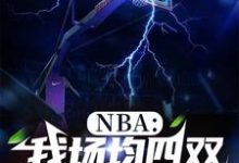 NBA:我场均四双,得分为零完整版小说,NBA:我场均四双,得分为零免费阅读-艾米文学