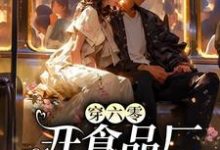 穿六零开食品厂，惹上太子爷倒追这本小说怎么样？免费在线阅读试试-艾米文学