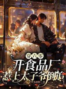 穿六零开食品厂，惹上太子爷倒追这本小说怎么样？免费在线阅读试试